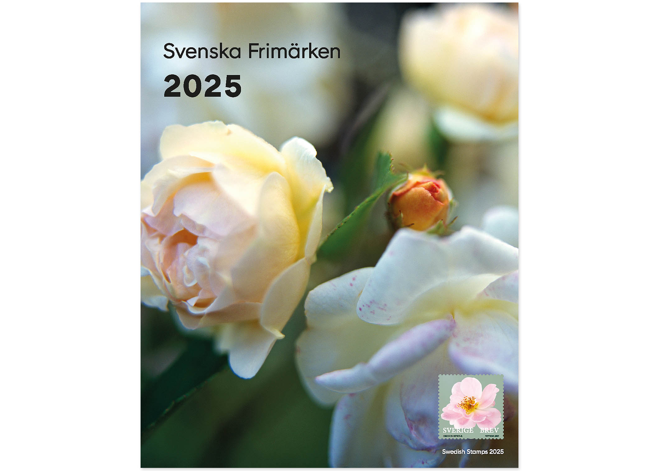 Omslag med färgfotografi av ljusrosa rosor på buske.